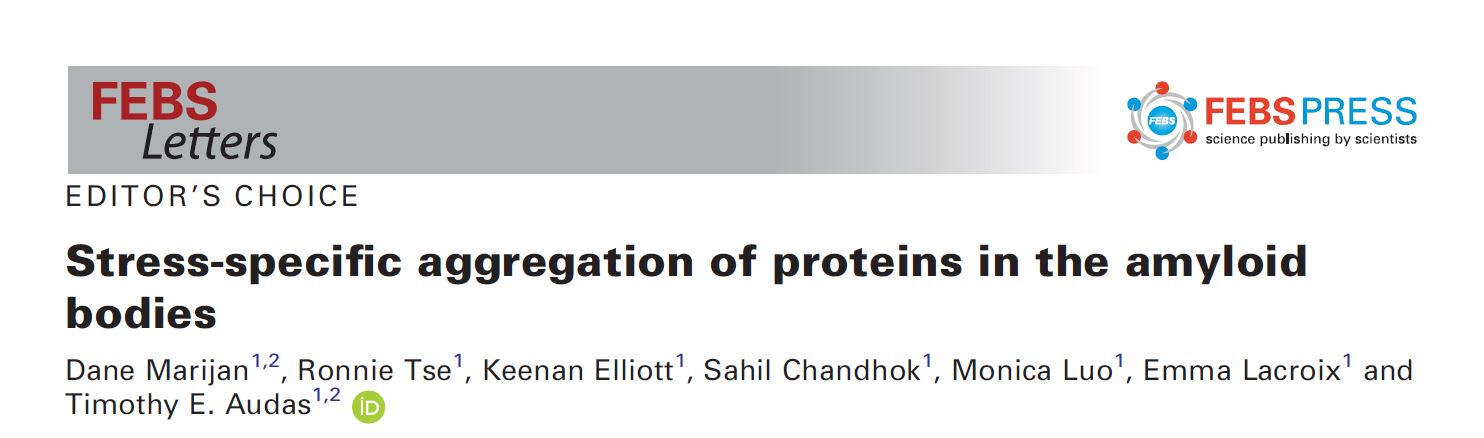 FEBS Letters paper 2019